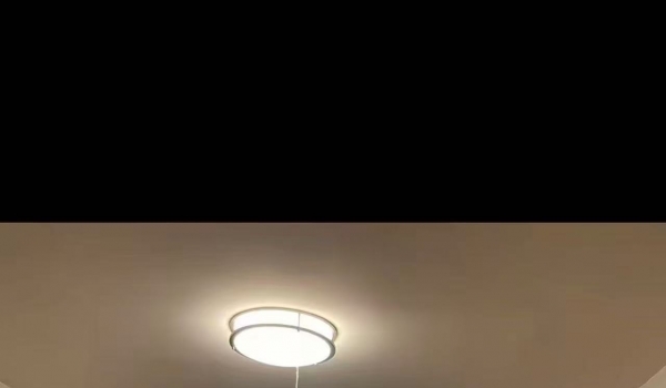 ���ݳ��⣡