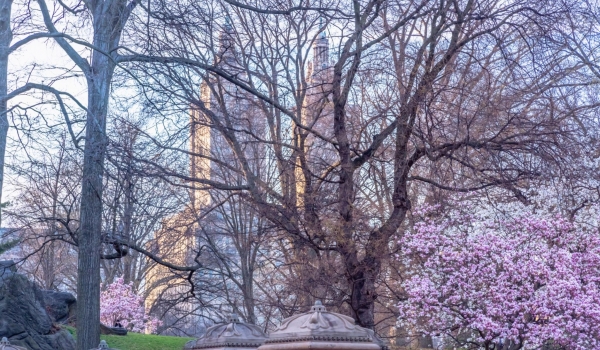 升温预警!纽约或打破高温纪录,“一秒入夏”真的来了