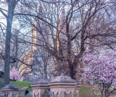 ����Ԥ����ŦԼ����Ƹ��¼�¼����һ�����ġ��������