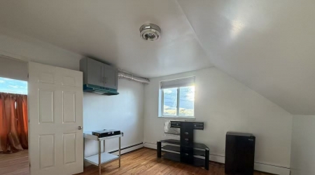 📣���³���