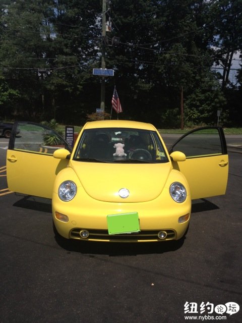 BEETLE 021.jpg