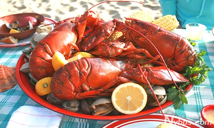 maine lobster-1.jpg