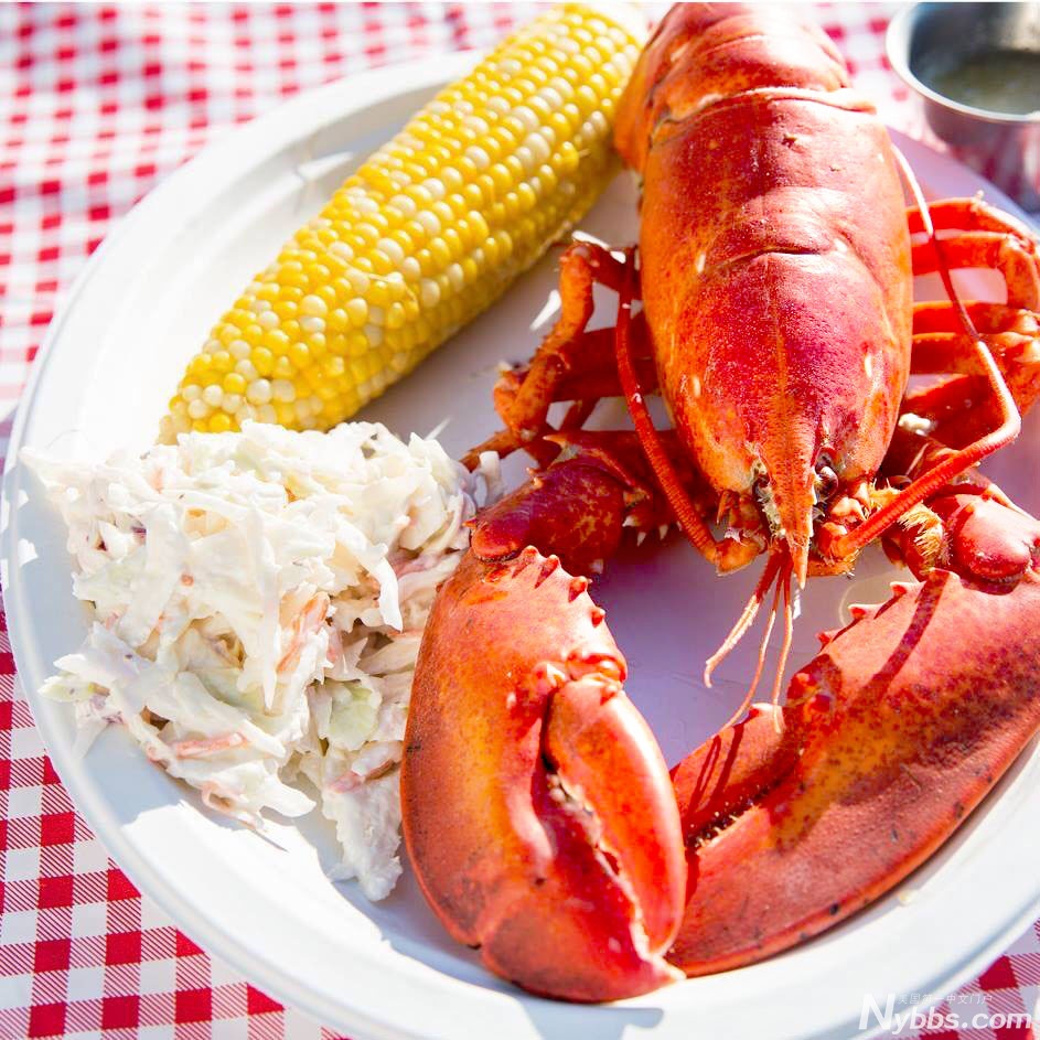 maine lobster-3.jpg