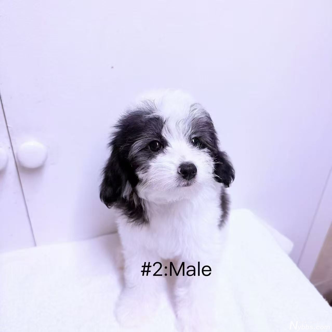 #2