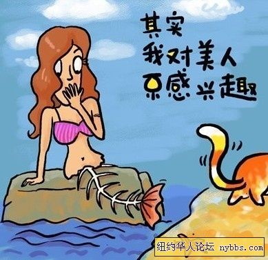 84db0ffb965c93800fe86851408d912b.jpg