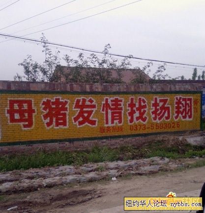 6491616.jpg